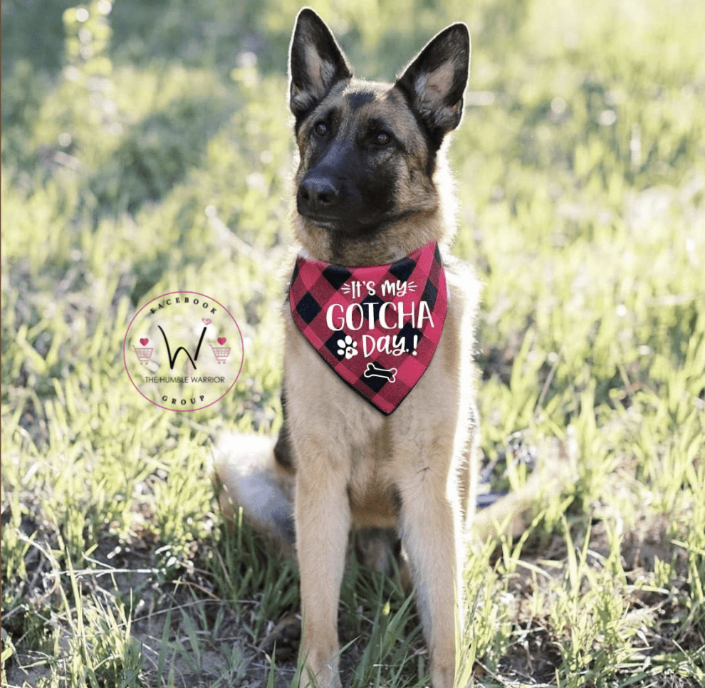 Gotcha Day Bandana!